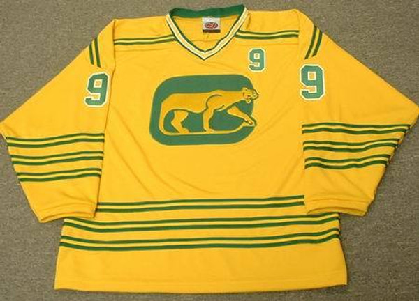 ROSAIRE PAIEMENT Chicago Cougars 1974 WHA Throwback Hockey Jersey