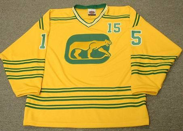 MARK HOWE Houston Aeros 1974 WHA Throwback Hockey Jersey - Custom Throwback  Jerseys