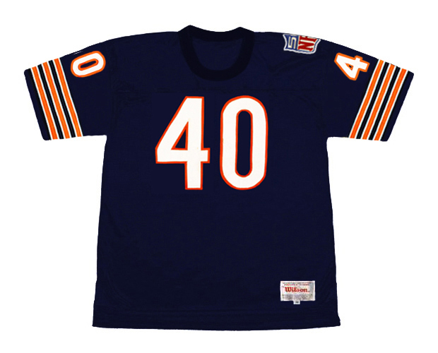 gayle sayers jersey