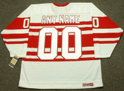 DETROIT RED WINGS 1940's CCM Vintage Jersey Customized "Any Name & Number(s)"