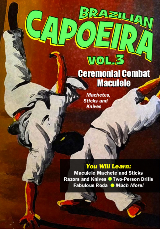 CAPOEIRA Fighting System