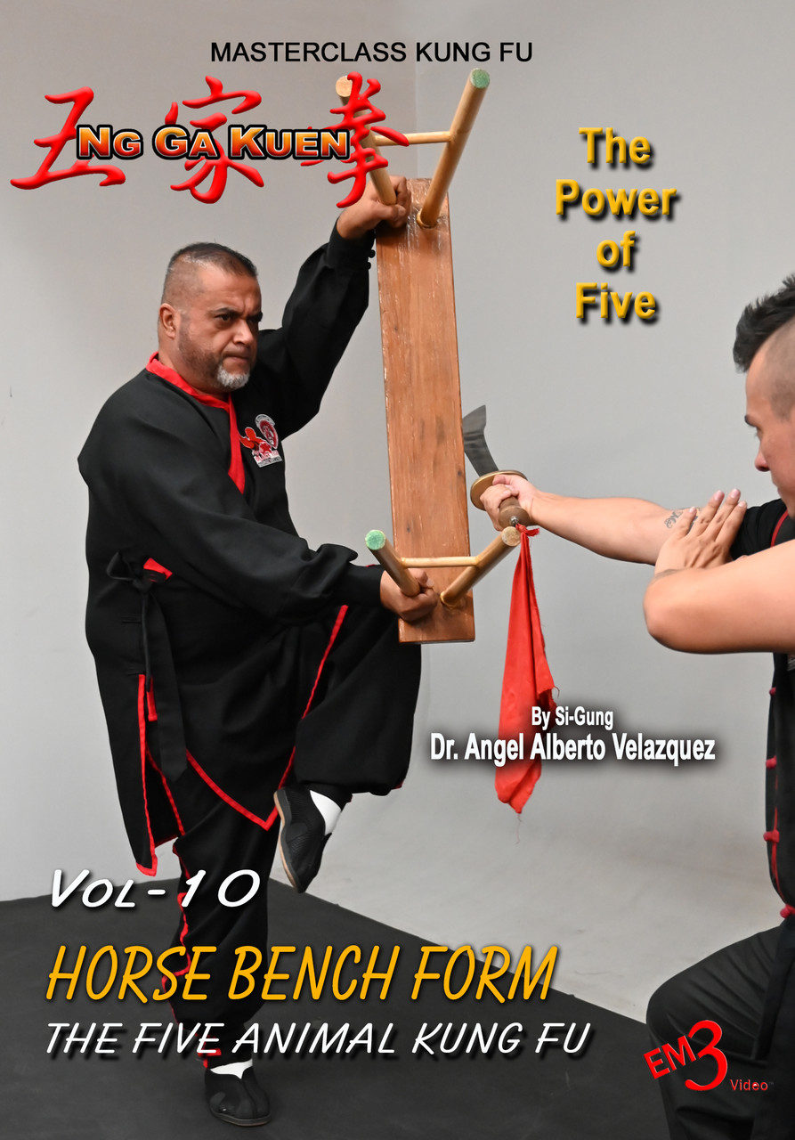 martial arts  Silver Wolf Wushu