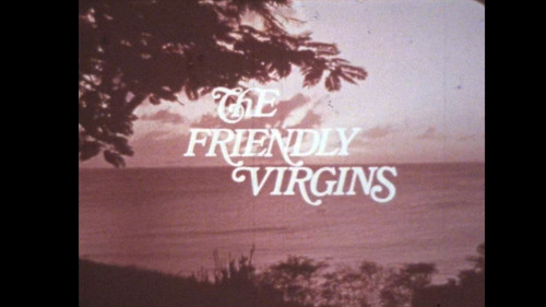 The Friendly Virgins