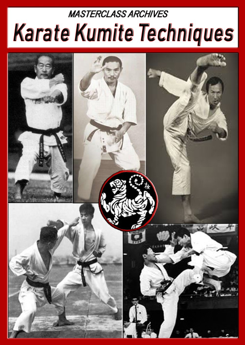 Karate Kumite Techniques