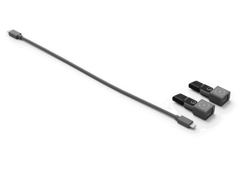 Logitech | Rally Mic Pod Option | Extension Cable 10 Meters | 952