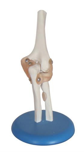 Elbow model