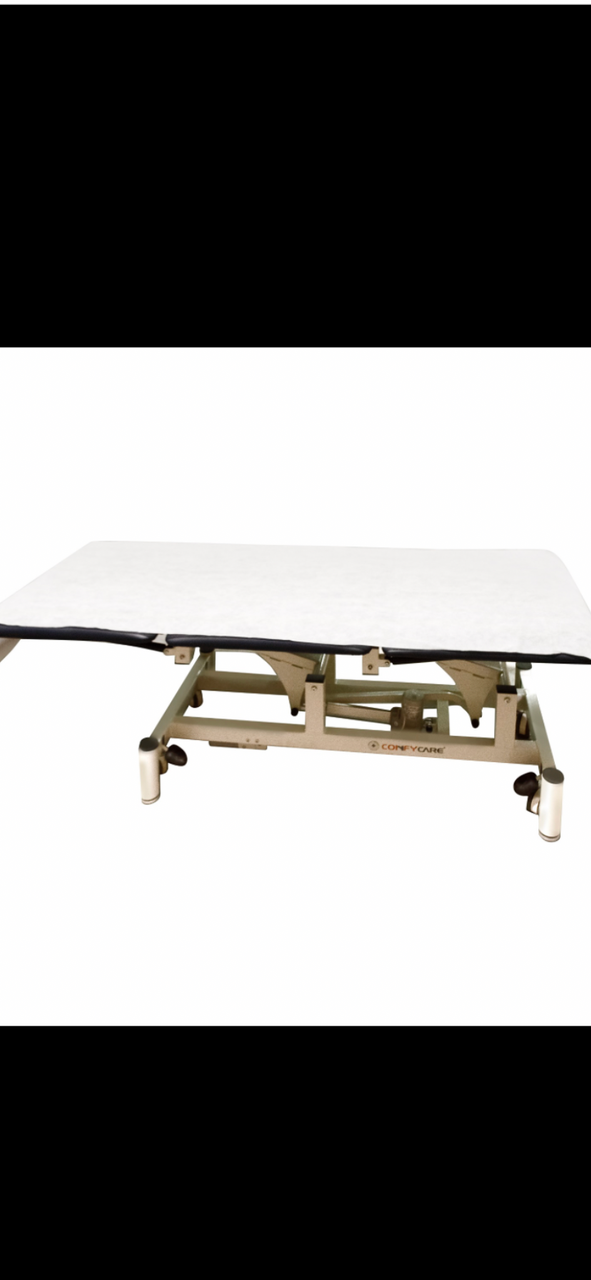 Non-Fitted Disposable Treatment Table Cover