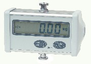 Transport Weighing Device