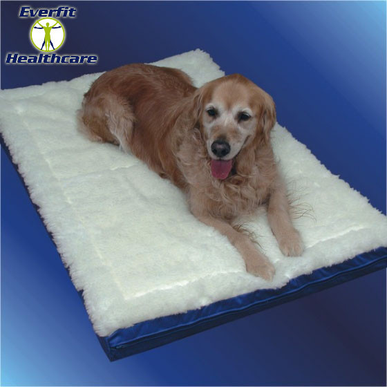 REPLACEMENT PET BED COVER