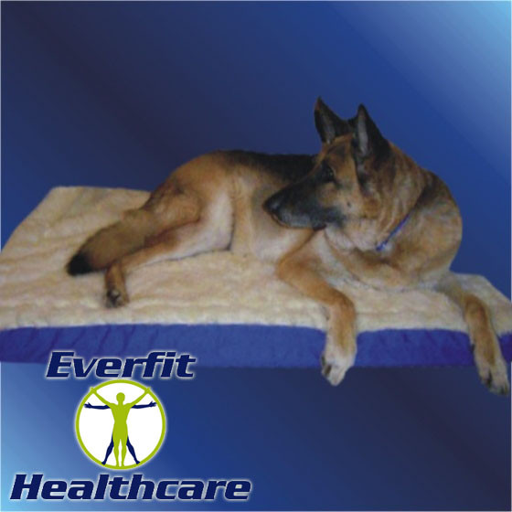 REPLACEMENT PET BED COVER