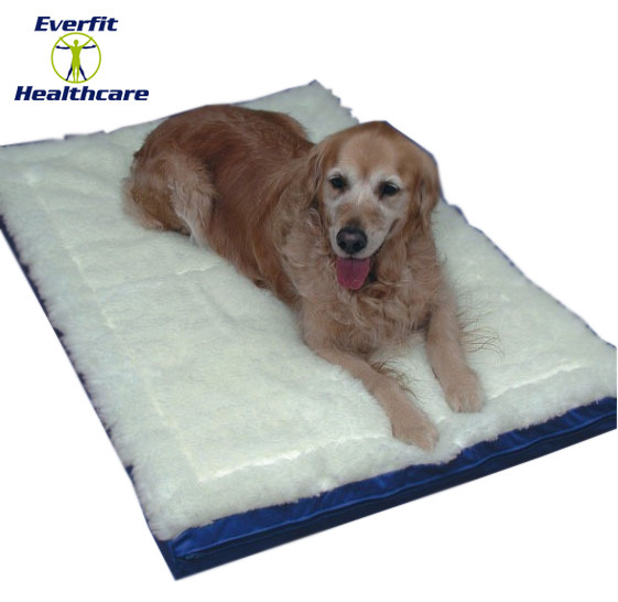 REPLACEMENT PET BED COVER
