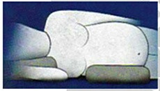 Dentons Pregnancy Pillow while sleeping or resting will take the weight of the baby, is not only more comfortable and relaxing, but it also allows the back muscles to relax, thus reducing back pain.