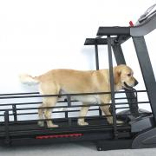 DOG RAIL SET FOR ST37A.3 AND ST35D.3 STARTRACK TREADMILLS DOG RAIL SET FOR ST37A.3 AND ST35D.3 STARTRACK TREADMILLS
