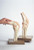Functional model of Knee Joint