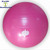 WELLNESS EXERCISE BALL