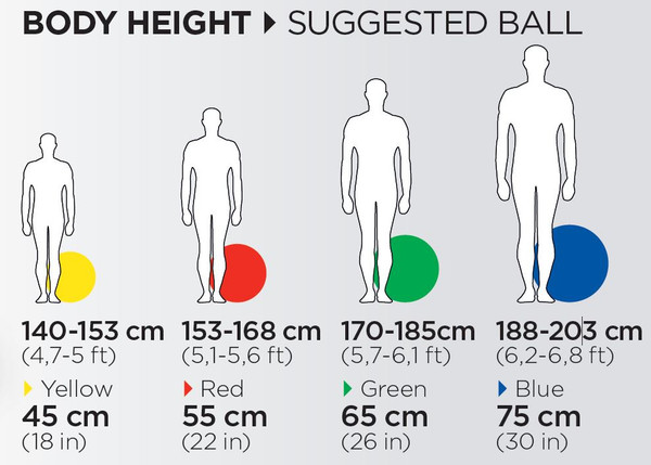 Exercise Ball Size Chart