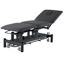 Everfit Chic Medical Treatment Table