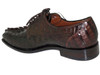 Men's Toscana 6241 Alligator Horn Brown