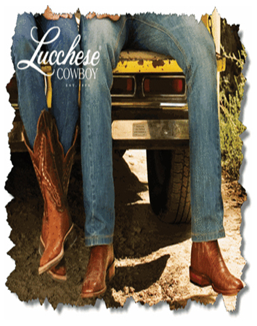 Ludchese banner Ludchese banner