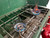 Coleman Dule Bunner Stove Model 413G (tested)