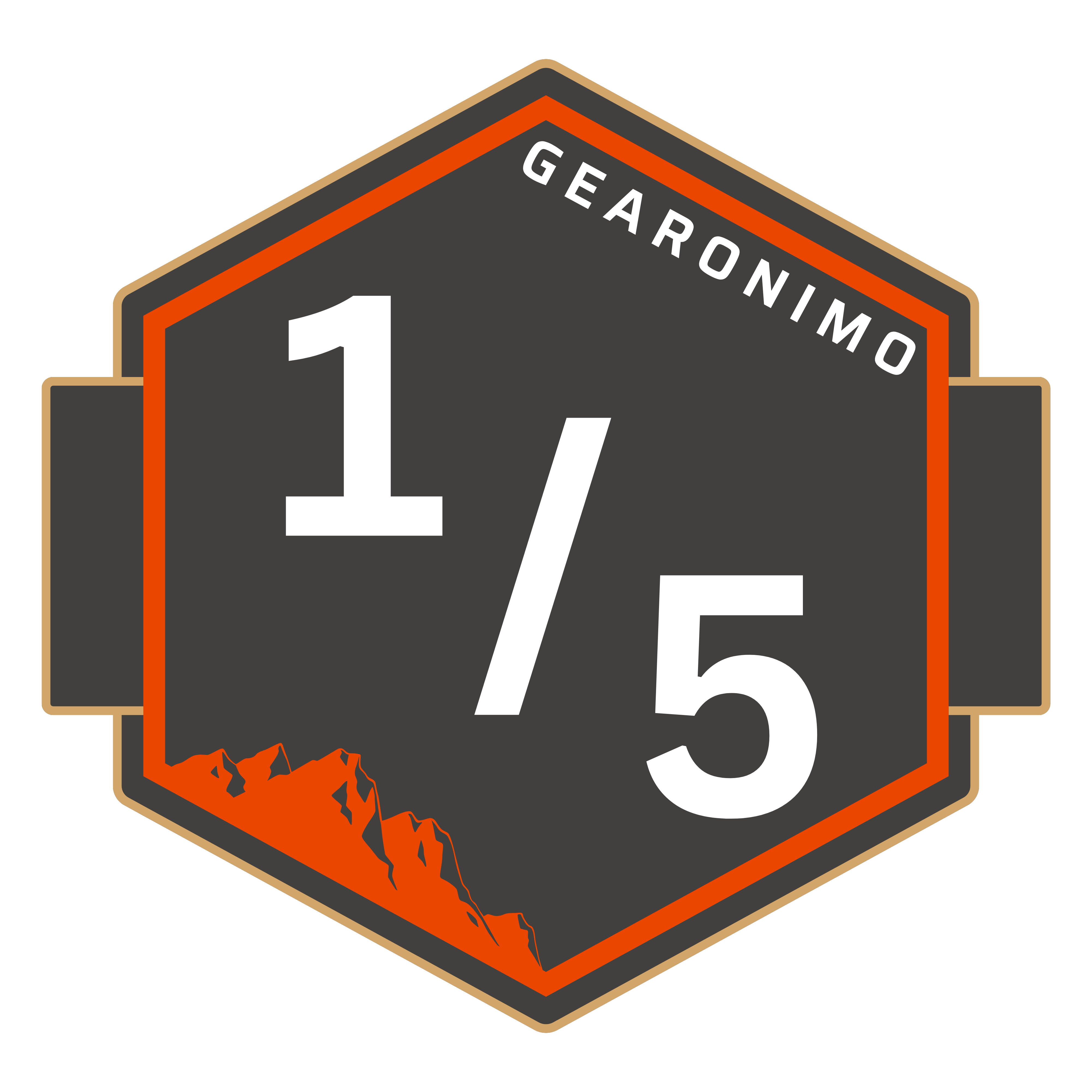 Gearonimo 1 out of 5 condition rating badge