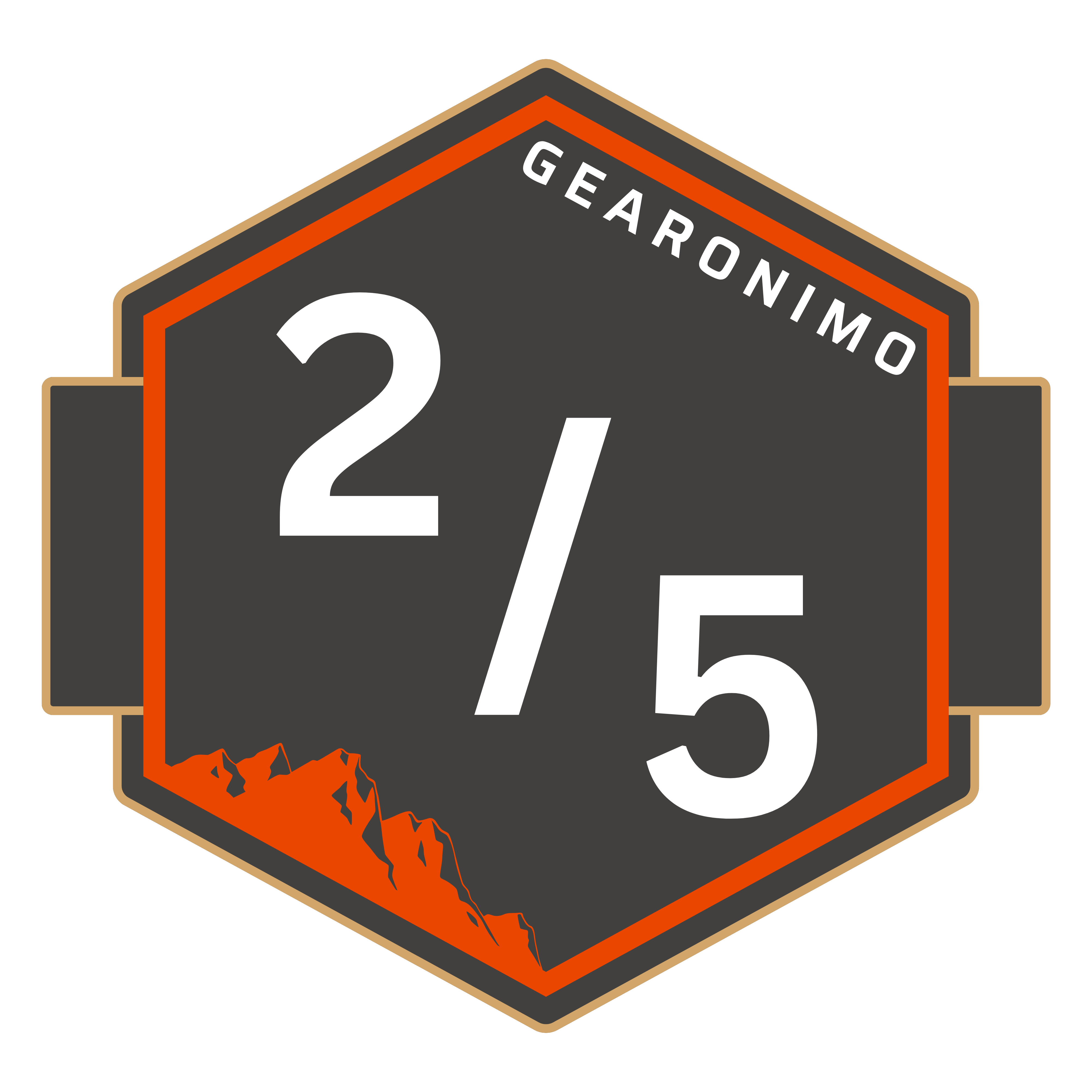 Gearonimo 2 out of 5 condition rating badge