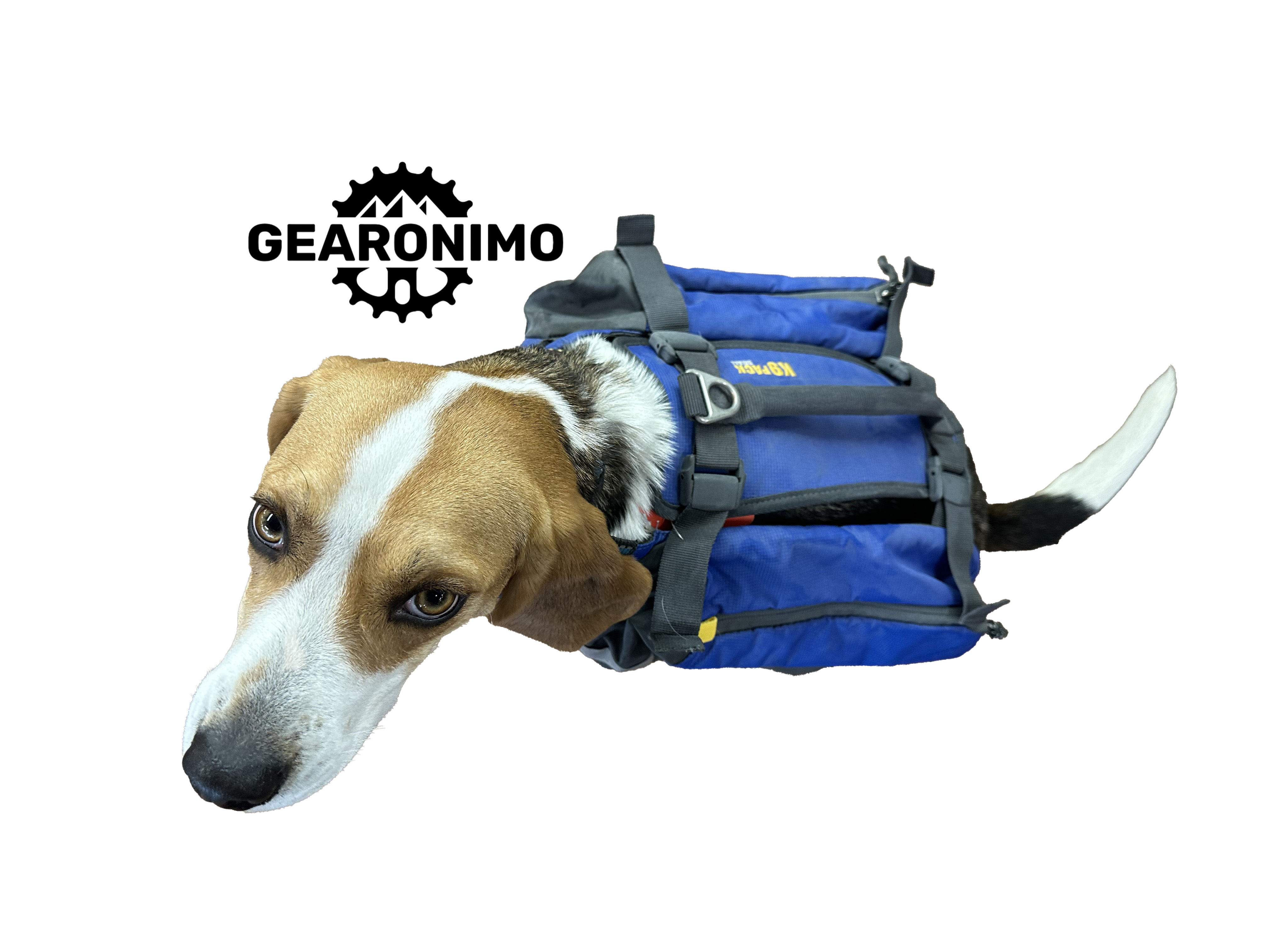 Mountain smith k9 pack small