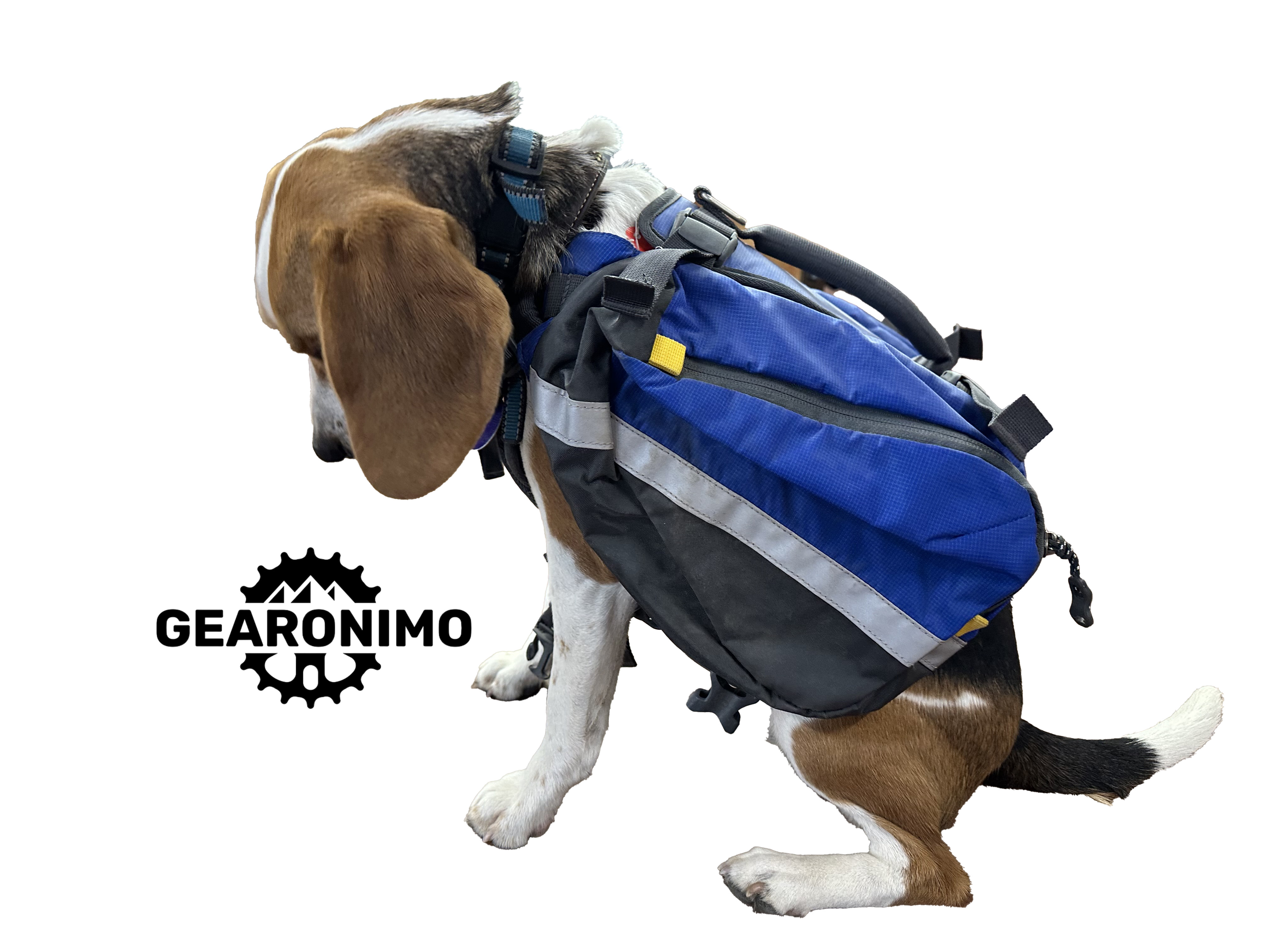 Mountain smith k9 pack small