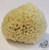 Wool Sea Sponge