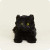 NEW Black Cat Halloween Warmies® Microwavable Lavender Scented NEW Black Cat Halloween Warmies® Microwavable Lavender Scented