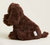 10” Plush Chocolate Labrador Warmies® Microwavable With Real Lavender