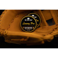 Ball Player's Balm Baseball/Softball Luxury Pro Glove Conditioner - 2oz