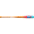 Easton 2027 Hype Fire (-8) EUS7HYP8 USA Baseball Bat