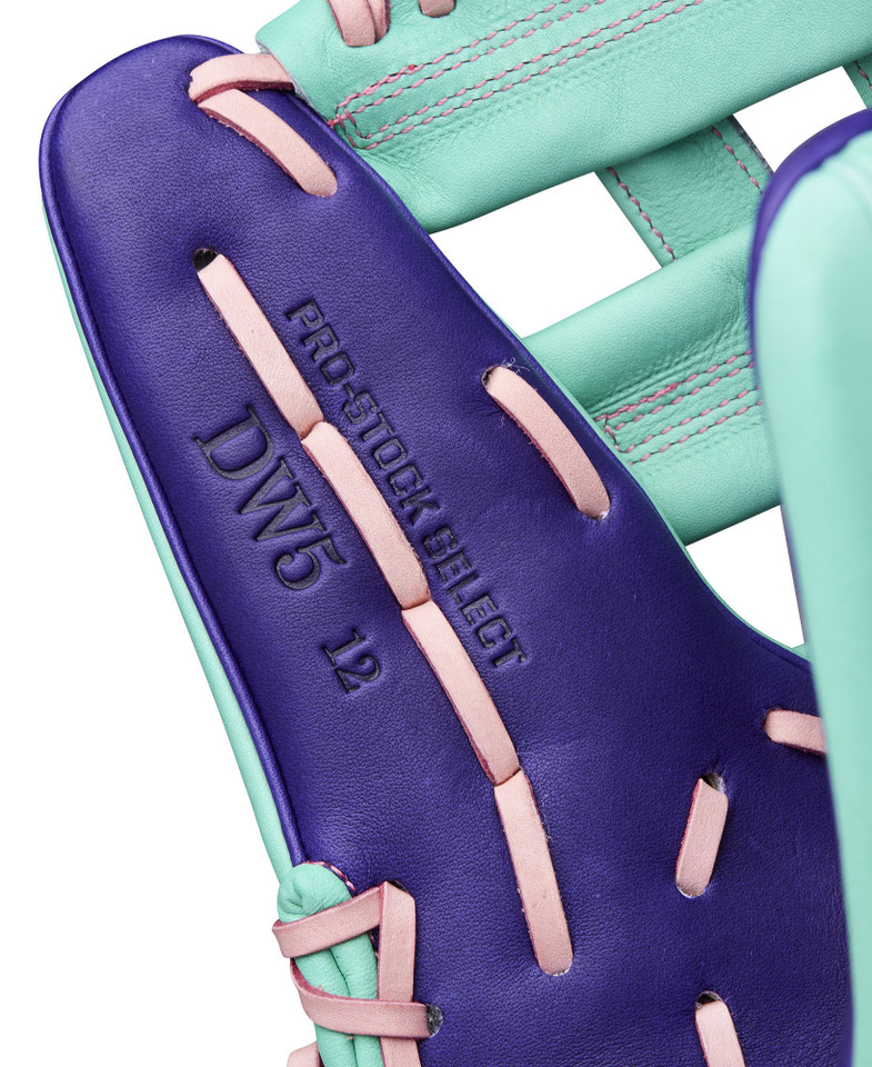 Wilson 2025 Winter A2K Series 12 Inch DW5 Baseball Glove