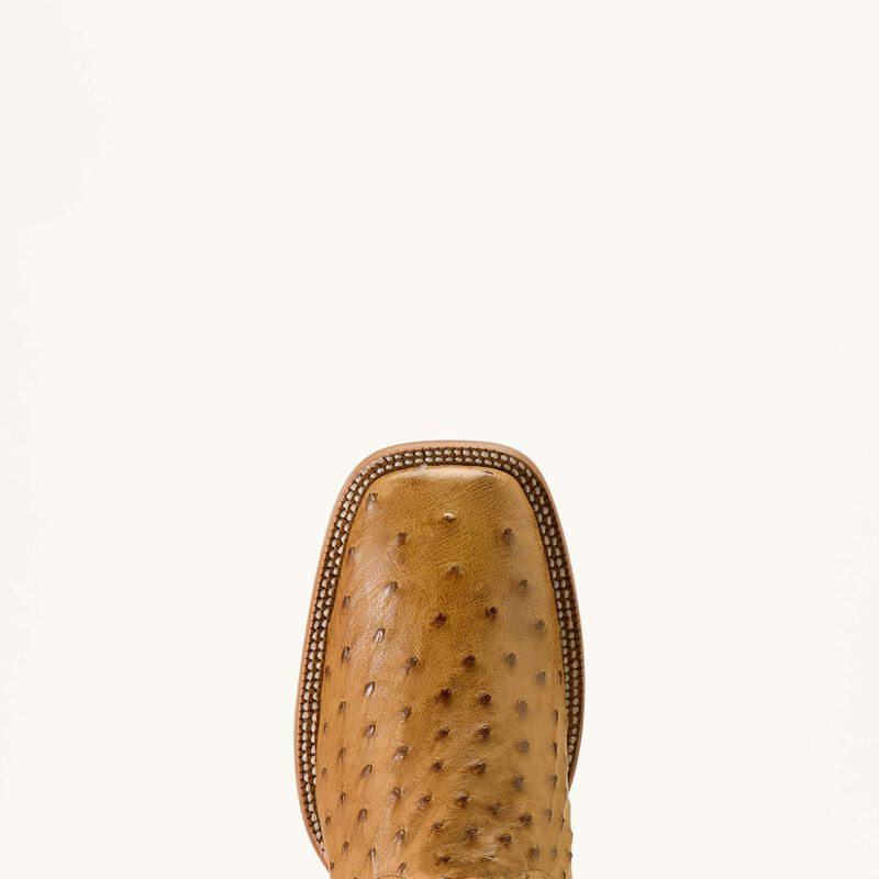 ARIAT CASH TAN FULL QUILL OSTRICH 10063774