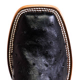 HORSEPOWER BLACK FULL QUILL OSTRICH HP8004
