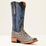 ARIAT FUTURITY BUCKLES GREY FQ OSTRI 10053826