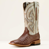 ARIAT CALLEN WHISKEY CAIMAN BELLY 10063773