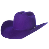 RODEO KING 4 1/4" BRIM 7X OPEN CROWN FELT COWBOY HAT PURPLE RK457