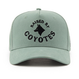 RAISED BY COYOTES LOGO FIELD HAT GREEN/BLACK