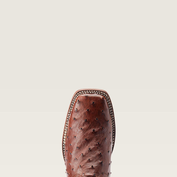 ARIAT MENS BRONCY CINNAMON FQO/AUBRN 10044576