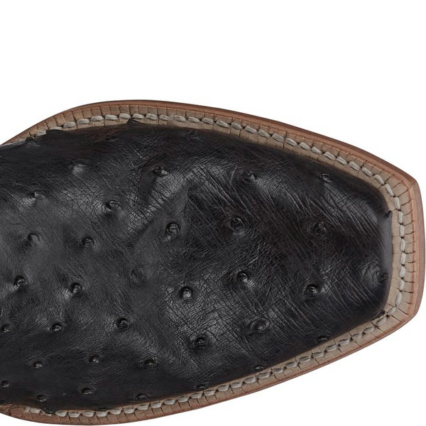 JUSTIN RYLEN 13" FULL QUILL OSTRICH BLACK SA8267