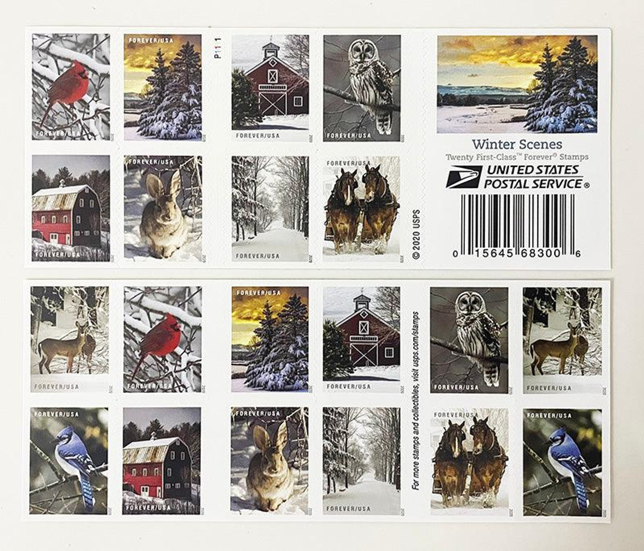 USPS Forever Postage Stamps Winter Fun 100 Stamps (5 Booklets of 20)
