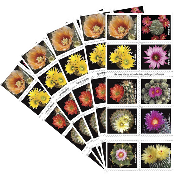 Cactus Flowers 2019 - Booklets of 100 stamps