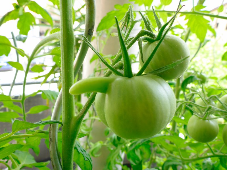 5 Strange Ancient Aphrodisiacs 5 Strange Ancient Aphrodisiacs