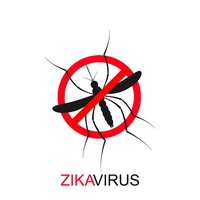 World Health Organisation Declares World Health Emergency for Zika Virus, Recommends Condoms