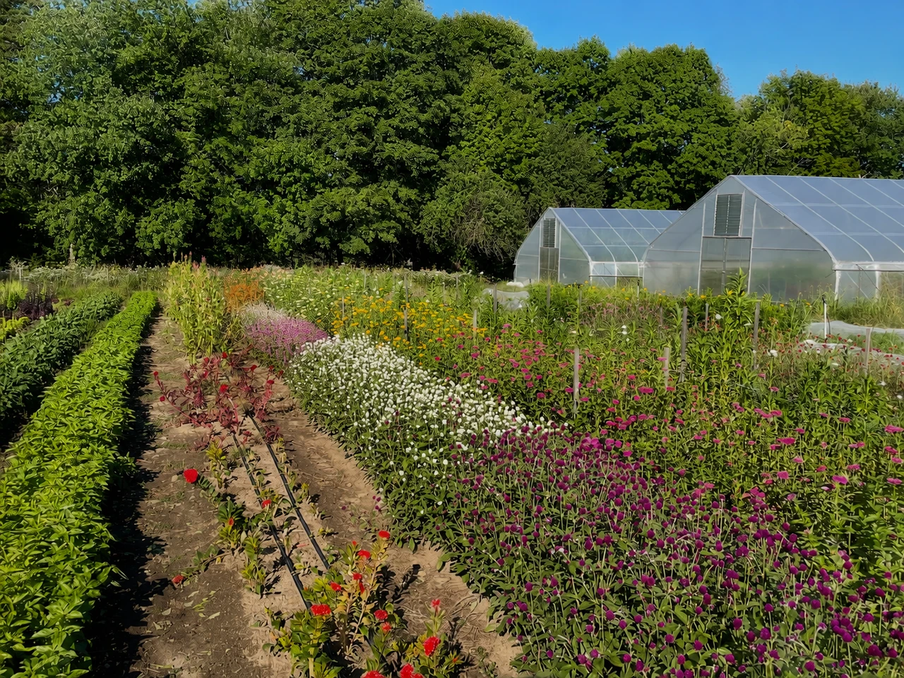 Growing Supplies