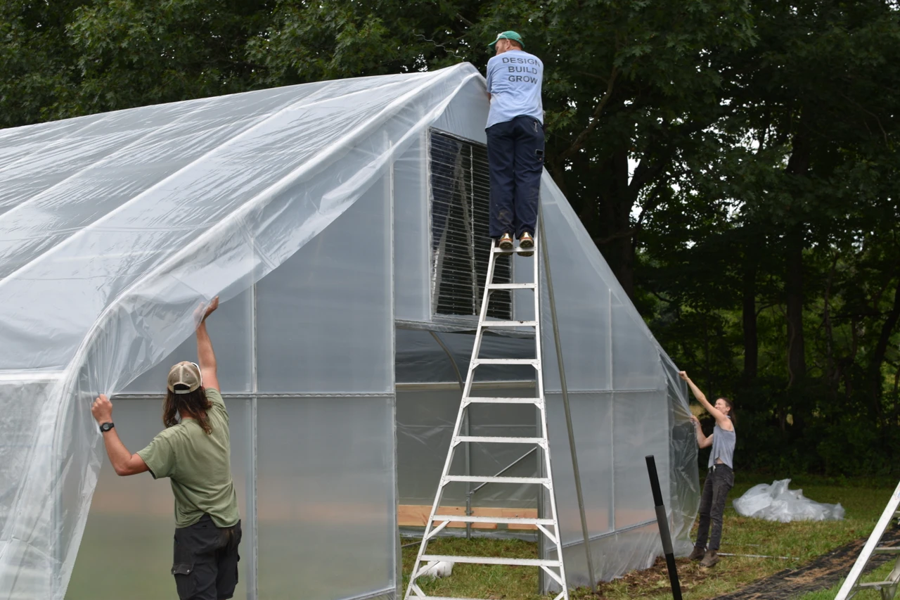 Greenhouse Covering Materials: Types, Lifespan, and How to Choose