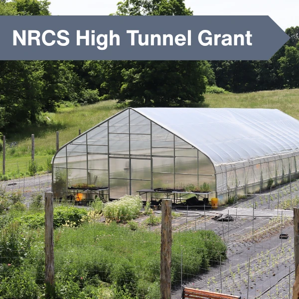 NRCS High Tunnel Grant: The Complete Guide for Growers (2026)