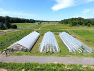 Best High Tunnel for an NRCS Grant: Grower, Plus, or Pro?